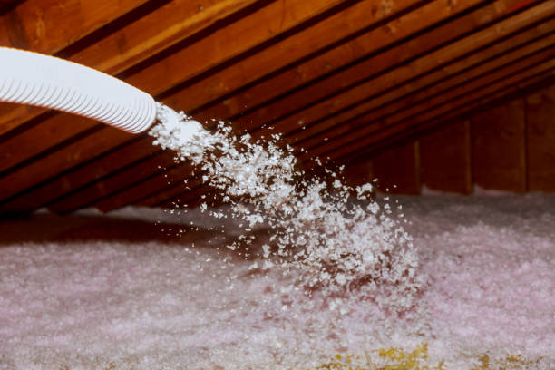 Best Insulation Installation Services in Oswego, IL